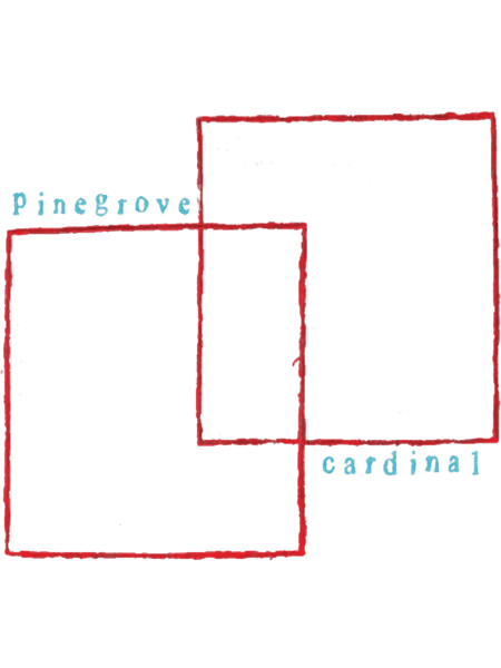 Cardinal (3).png