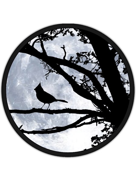 Cardinal Bird In Front Of the Moon.png