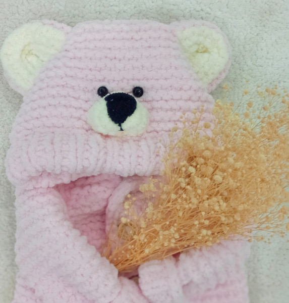 Pink Color Teddy Bear (2).jpg