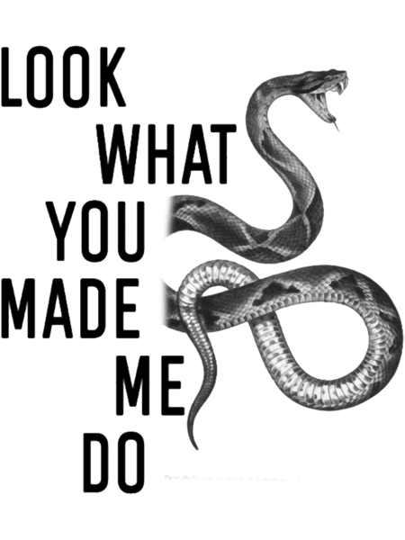 Look what you made me do Classic(1).png