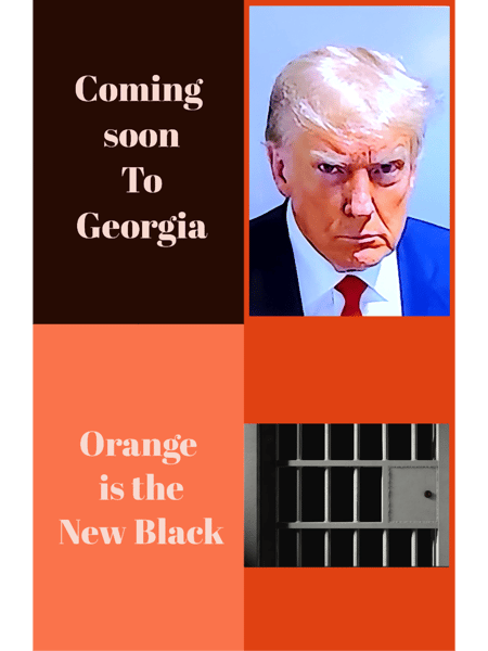 trump vs. georgia.png