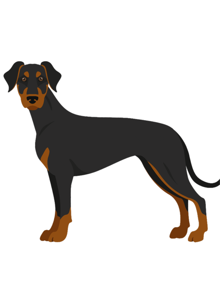 natural ear doberman(11).png