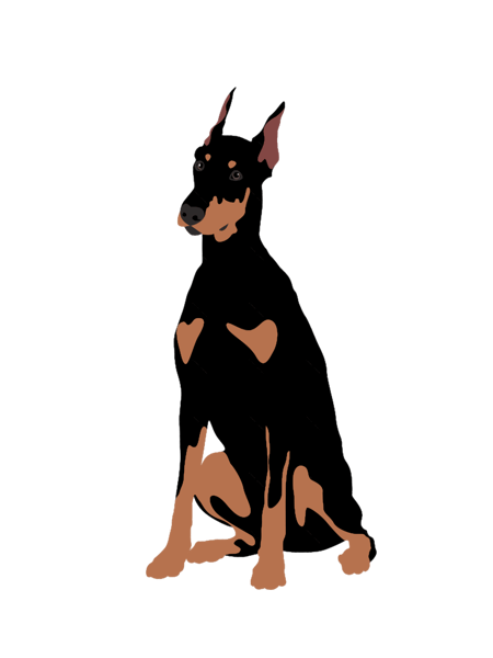 natural ear doberman(12).png