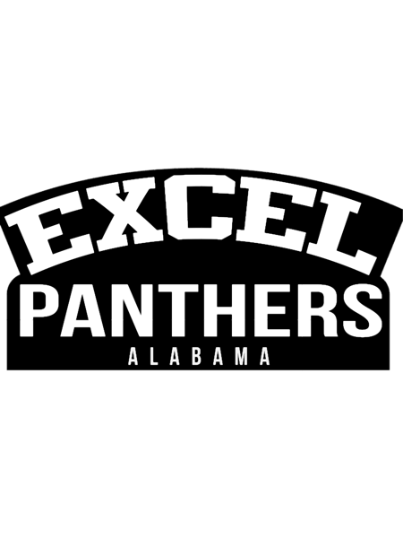 Excel High School Panthers.png