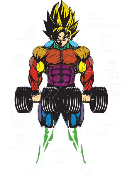 Muscle Chart - Anatomy Diagram - Anime Gym Motivational.png