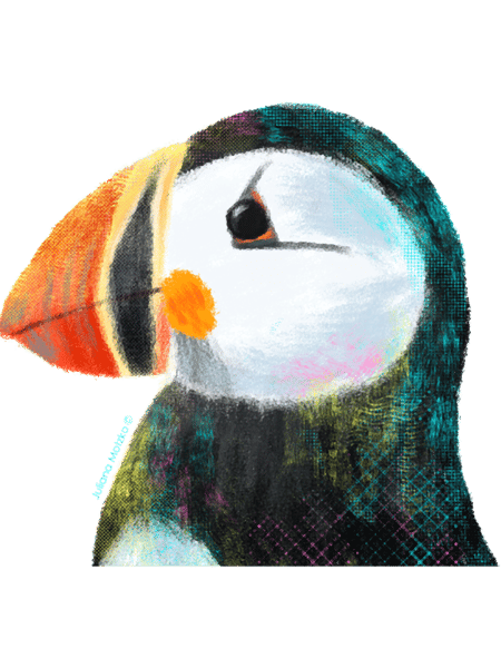 Puffin (1).png