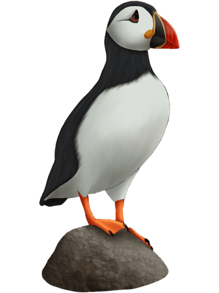 Puffin On Rock Painting.png