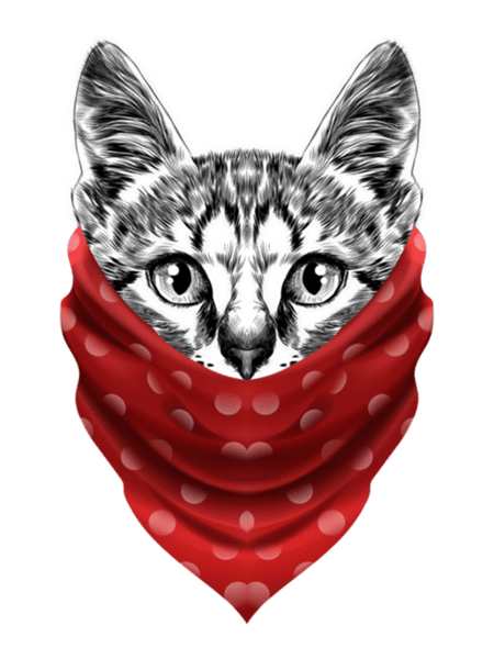 cat bandana gangster cat wearing red bandana    .png