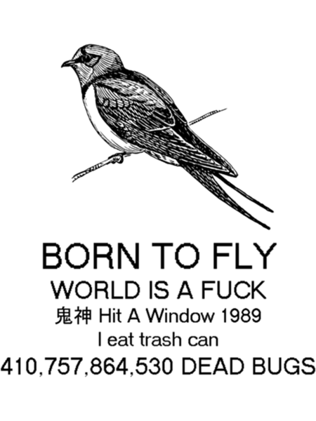 born to fly - explicit       .png