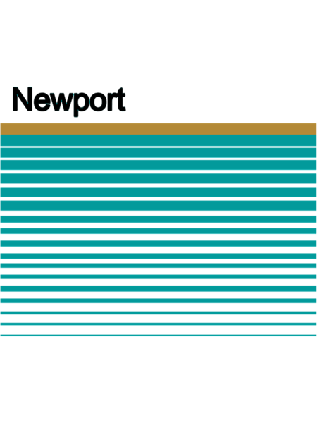 Newport Cigarettes    .png