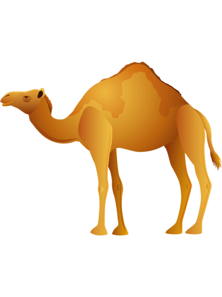 Simple Camel Illustration  .png