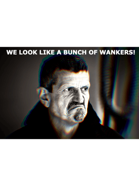 Guenther Steiner - Bunch of Wankers  .png