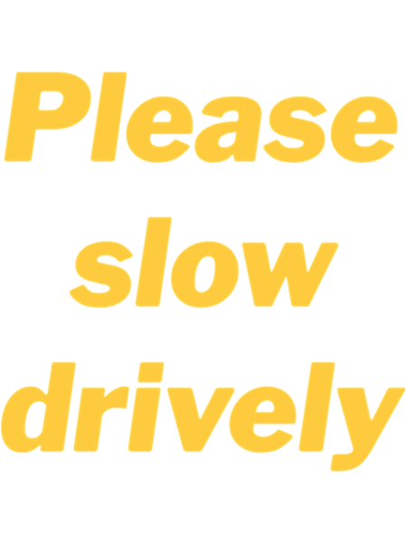 Please Slow Drively Funny Meme  .png