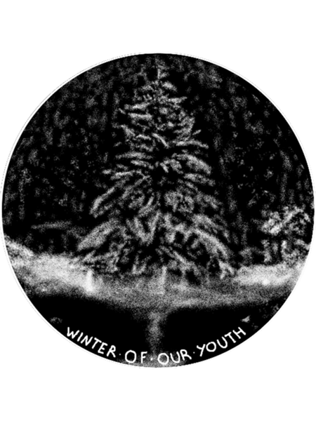 Winter Fir  .png