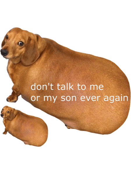 Don_t talk to me or my son ever again - geek.png