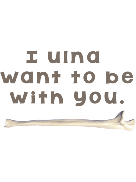 Ulna Bone Pun .png