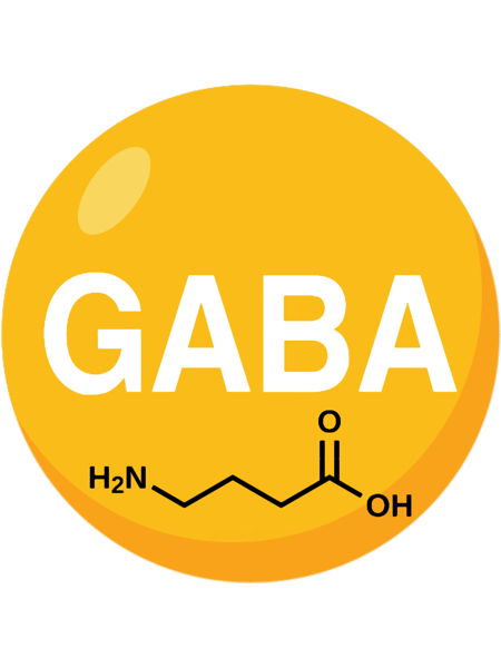 gaba (1).png