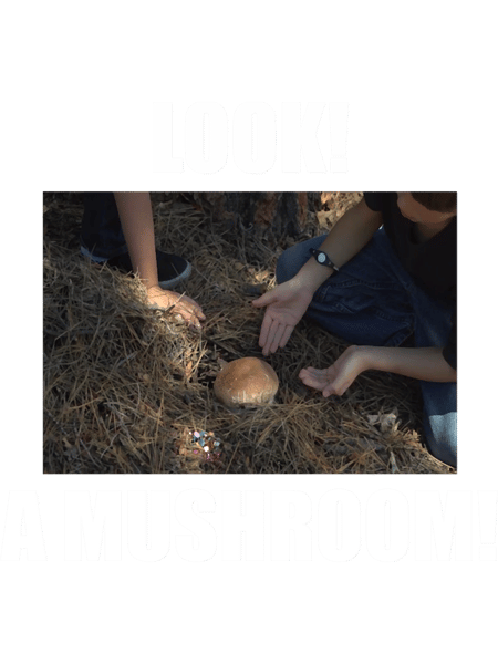 Look! A mushroom! Classic .png