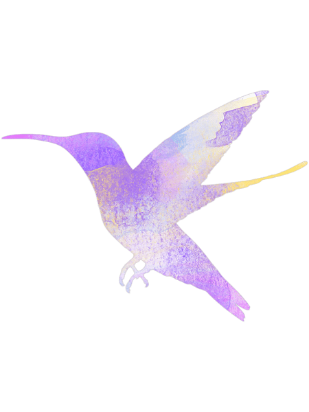 Colorful Watercolor Hummingbird Bird Watching Art Bird 23.png