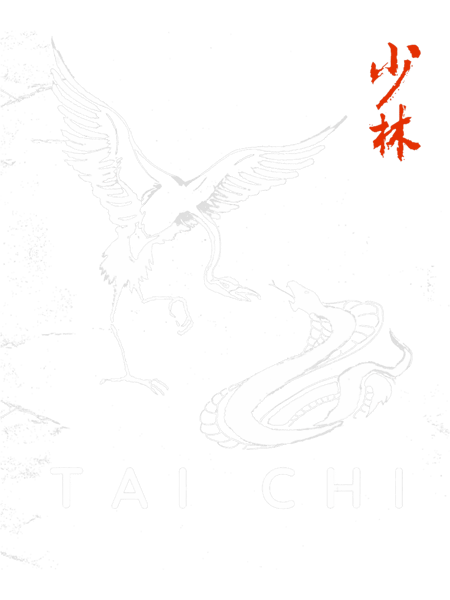 Tai Chi Beginners Design. Snake 2Crane Tai Chi Calligraphy.png