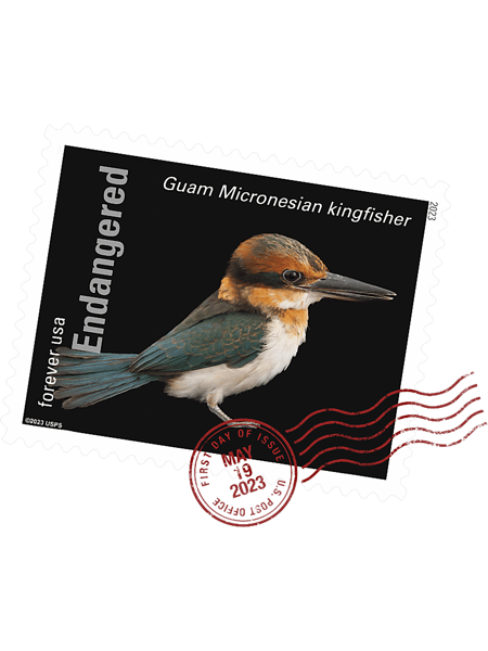USPS Endangered Species Kingfisher Postmark.png