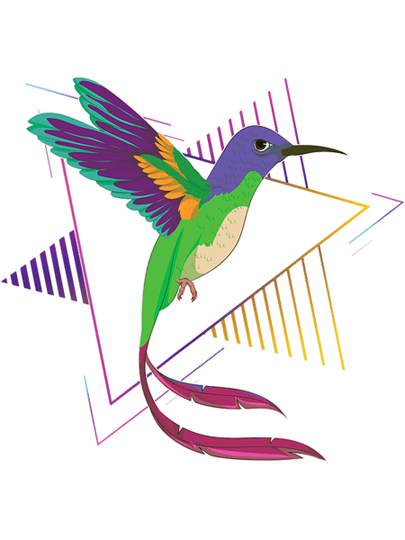 Vaporwave Animal Bird Lover Retro 90s Art Hummingbird.png