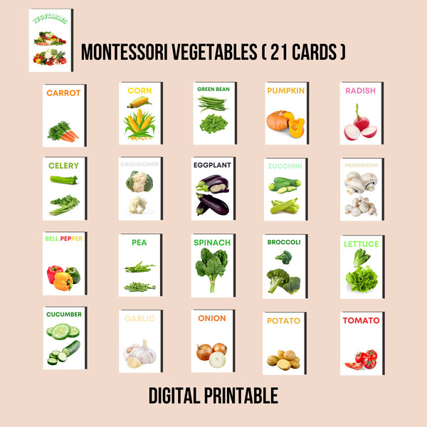 MONTESSORI SUNUM VEGETABLES.jpg