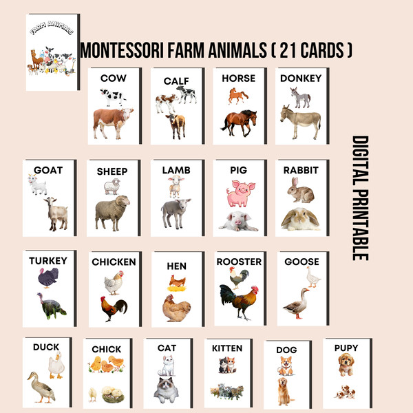 MONTESSORI FARM ANIMALS SUNUM.jpg