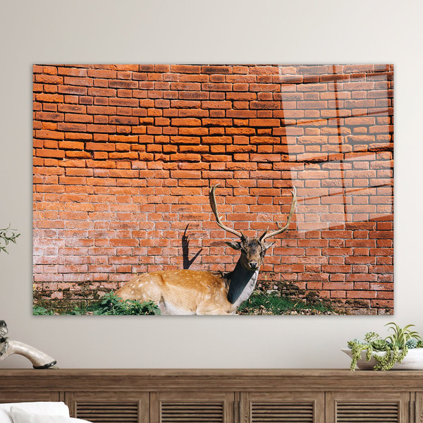 Deer Photo Glass Wall Art,Wildlife Wall Decor,Glass,Animal Tempered Glass,Glass Art Gift,Tempered Glass,Deer Tempered Glass,.jpg