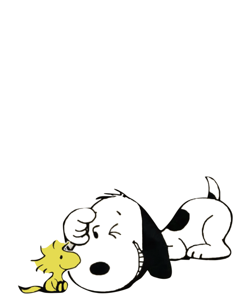 Admita Vida chata Shirt.png