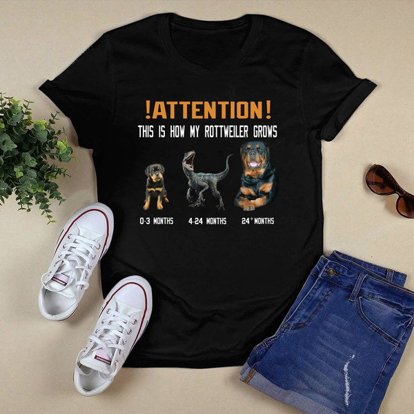 Attention Shirt.png