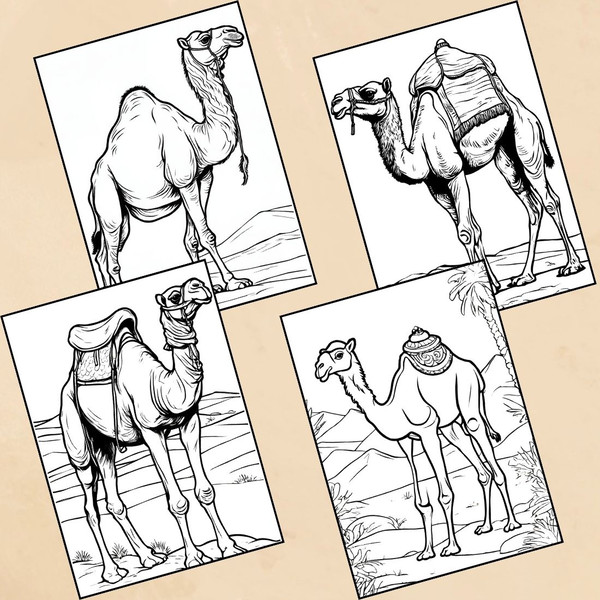 Camel Coloring Pages 3.jpg