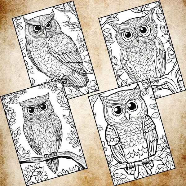 Detailed Owl Coloring Pages 2.jpg