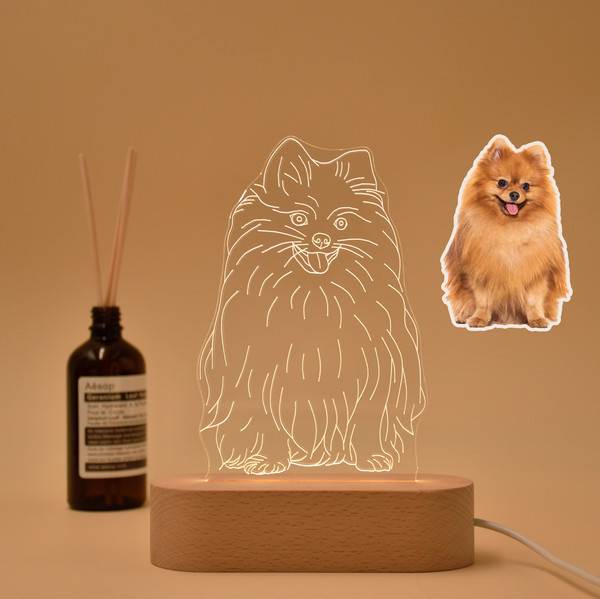 Custom 3D Pet Photo Night Light, Cat Dog 3D Photo Lamp, Cat Night Light, Pet Memorial Lamp, Pet Memorial Gift, Gift for Pet Lover Dog Lover.jpg