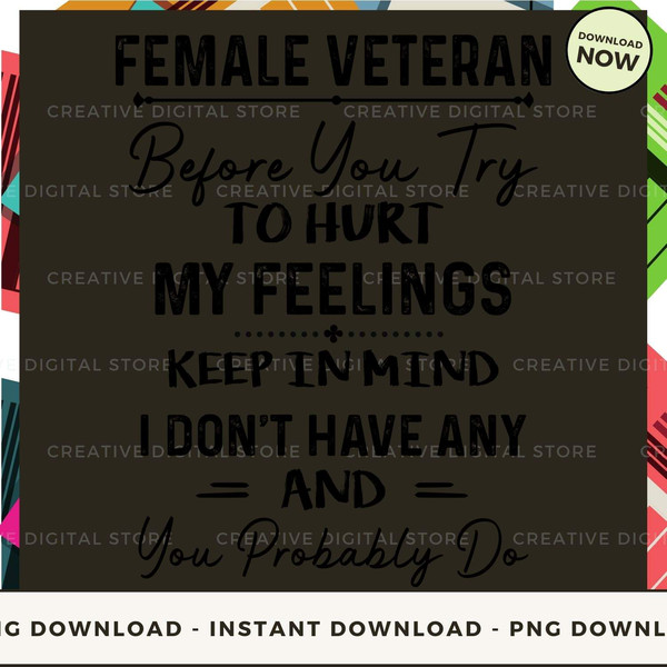 Female Veteran Before You Try to Hurt My Feelings Keep in Mind I Don't Have Any and You Probably Do.jpg