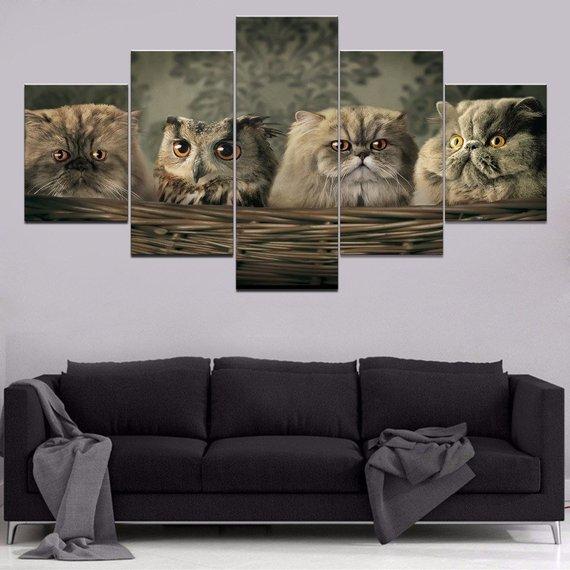 Cute Cats Owl Canvas Home Decor Beautiful Animals Cats Animal.jpg
