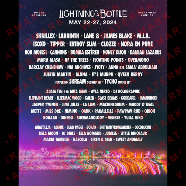 3 LIGHTNING IN A BOTTLE FESTIVAL 2024.jpg