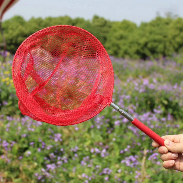 Telescopic Butterfly Net For Catching Bugs and Butterflies