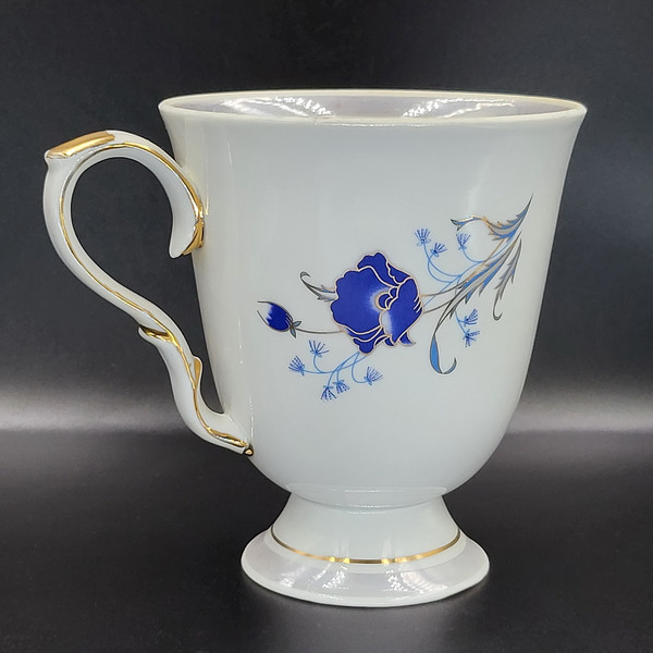 5 Large tea pair Blue Flower Dulevo. New.jpg