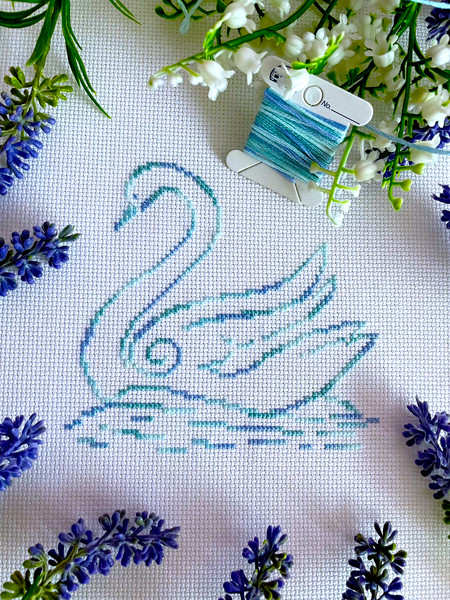 Variegated Swan cover 3.jpg