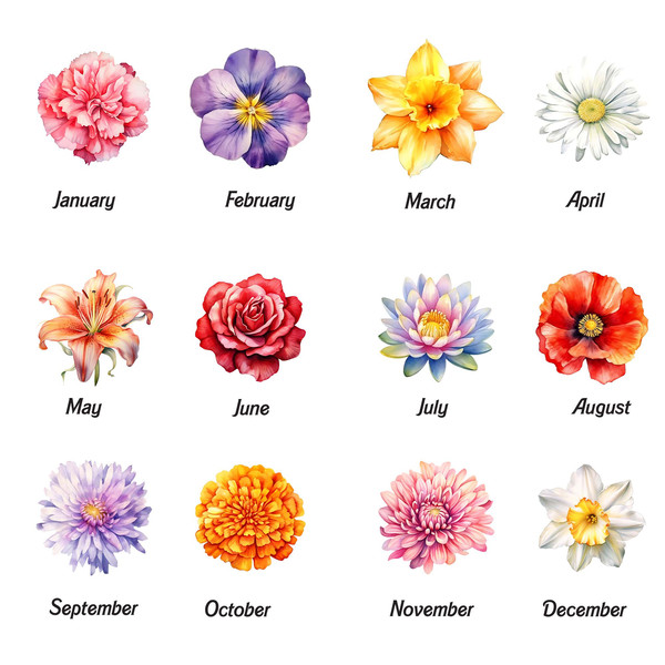 BIRTH MONTH FLOWERS.jpg