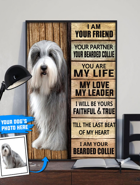 Bearded Collie Personalized Poster &amp Canvas - Dog Canvas Wall Art - Dog Lovers Gifts For Him Or Her.jpg