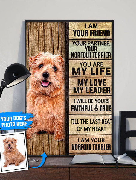 Norfolk Terrier Personalized Poster &amp Canvas - Dog Canvas Wall Art - Dog Lovers Gifts For Him Or Her.jpg