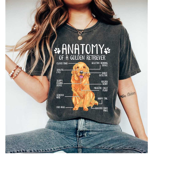 Anatomy Of A Golden Retriever Shirt, Golden Retriever Dog Shirt,Dog Mom,Dog Dad,Dog Owner Shirt,Vintage Dog Shirt,Dog Lo.jpg