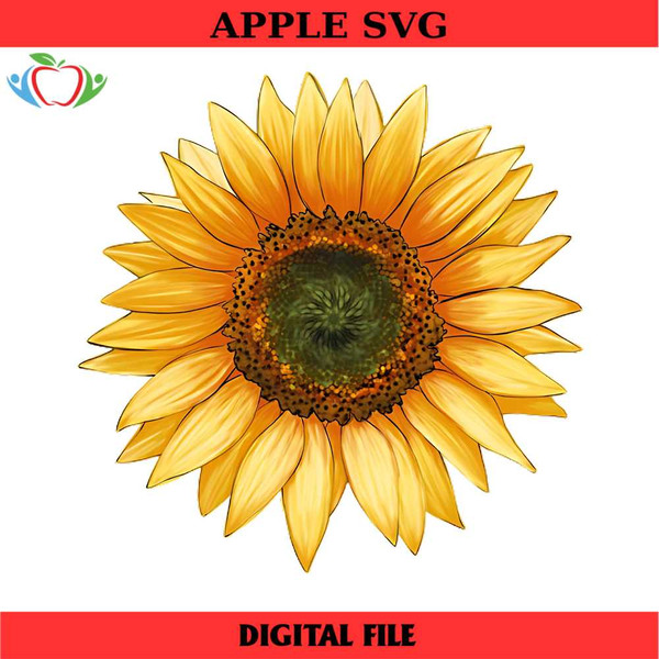 MR-apple-svg-03012024ht02-2662024145947.jpeg