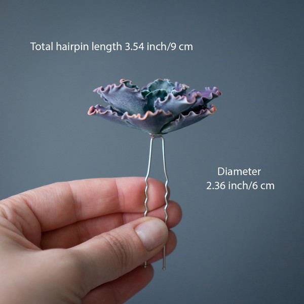 4_echeveria_shaviana_hairpin.jpg