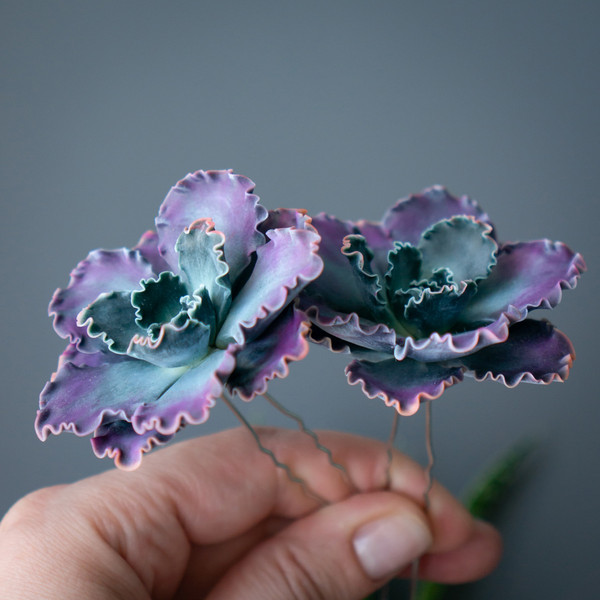 8_echeveria_shaviana_hairpin.jpg