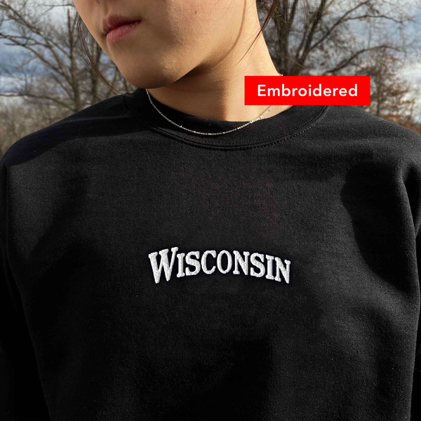 Wisconsin sweatshirt embroidered, Vintage crewneck, cute university state sweater, student gift.jpg