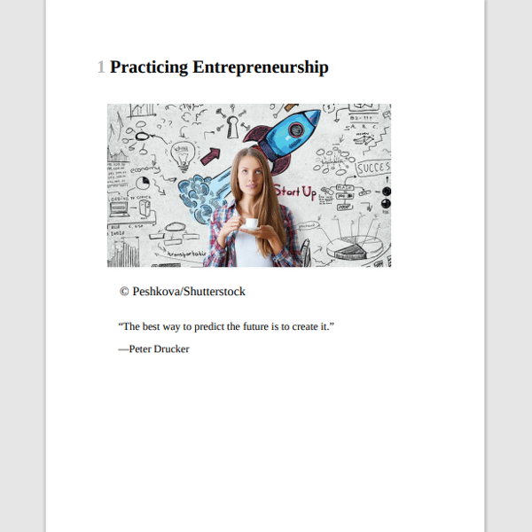 Entrepreneurship The Practice and Mindset 2nd Edition2.png