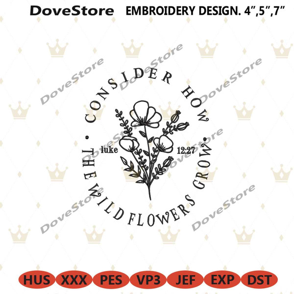 MR-dove-store-pg30052024sc199-5720241572.jpeg